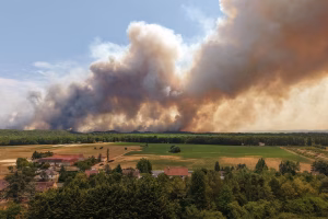WILDFIRE RAGES NEAR PARIS